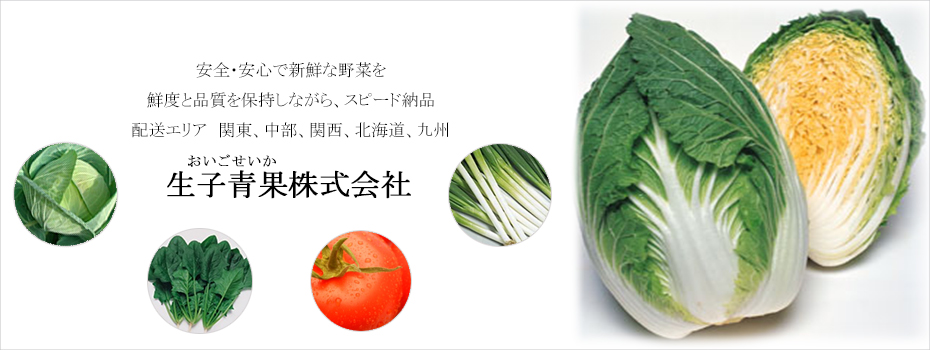 生子青果 株式会社 安全・安心で新鮮な野菜を鮮度と品質を保持しながら、スピード納品 配送エリア 関東、中部、関西、北海道、九州
